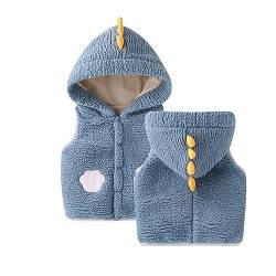 ACMEDE Baby Jungen Mädchen Fleece Kapuzenweste 68/74/80/86 Baby Cartoon Gilets Weste Kleinkind Ärmellos Jacke Mantel Mit Kapuze 92/98/104/110 Kinder Warme Weste Für Herbst- Und Winterkleidung von ACMEDE