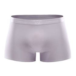 Herren Microfaser Boxershorts Atmungsaktive Unterwäsche Sexy Männer Schnelltrocknend Unterhose Men Retro Underwear (Lila, L) von AERZ