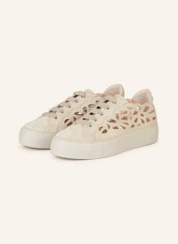 Agl Plateau-Sneaker Mandi beige von AGL