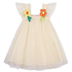 AGQT Baby Mädchen Sommerkleid Tüll Kleid mit Karikatur Blume Strandkleider Festlich Hochzeit Geburtstag Taufkleid Aprikose Größe 12-18 Monate von AGQT