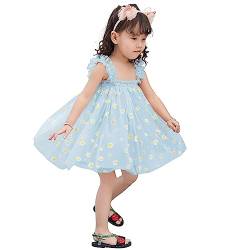 AGQT Baby Mädchen Tüll Kleid,Kinder Partykleid Ärmelloses Tutu Geburtstag Kleid Hellblau Gänseblümchen-Spitze Blumenmädchen Kleid,Größe 3-4 Jahr von AGQT