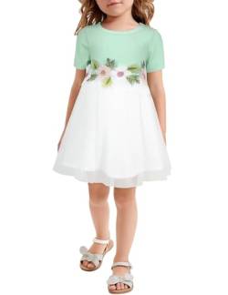 AGQT Kleider für Baby Mädchen Bestickt Tüll Tutu Blumenmädchen Kleid Blume Kleid für Hochzeit Geburtstag Party Hellgrün 6-12 Monate von AGQT