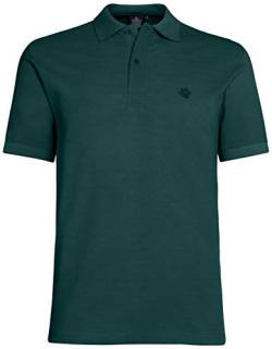 AHORN SPORTSWEAR Übergrößen Designer Basic Polo-Shirt Bottle Green 10XL von AHORN SPORTSWEAR