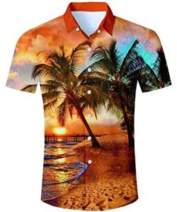 AIDEAONE Herren Palme Kurzarm Sommer Urlaub Hemd Hawaiian Urlaub Hemd von AIDEAONE