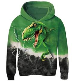 AIDEAONE Junge Teenager Hoodie 3D Kapuzenpullover Pulli Dinosaurier 6-7 Jahre (L) von AIDEAONE