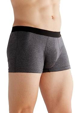 ALBERO NATUR 2 er Pack Herren Trunk Short Bio-Baumwolle Boxershort Unterhose (as3, Alpha, l, Regular, Regular, Anthrazit) von ALBERO NATUR