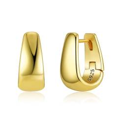 ALEXCRAFT Dick Creolen Gold Ohrringe Klein Damen 14K Vergoldete Ohrringe Geschenk für Frauen Freundin Mama Mädchen von ALEXCRAFT