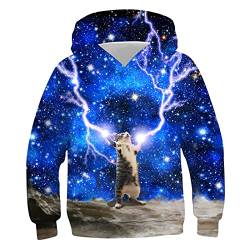 ALISISTER 3D Hoodie Kids Fun Lustige Katze Alpaka Grafik Pullover Sweatshirt Kind Junge Mädchen Langarm Kapuzensweat von ALISISTER