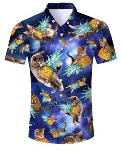 ALISISTER Herren Hawaiihemd 3D Lustig Ananas Katze Gedruckt Kurzarmhemd Hemden Tropical Button Down Strandurlaub Hemd Aloha Summer Regular Hawaii Shirts Hellblau L von ALISISTER
