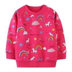 Baby Mädchen Sweatshirts Pullover Kinder Niedlich Langarm Shirt Pulli Oberteile Gr. 86-92 von ALUCIC