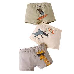 ANIMQUE Jungen Unterhosen Boxershorts Baumwolle Cartoon Briefs für Baby Kinder Elastizität Hautfreundlich Shorts 3er Pack PJ823, 100 von ANIMQUE