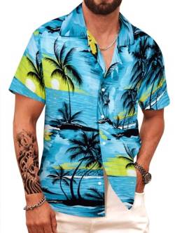 APTRO Herren Hemd Hawaiihemd Freizeit Hemd Kurzarm Urlaub Hemd Reise Shirt Himmelblau M175 XXL von APTRO