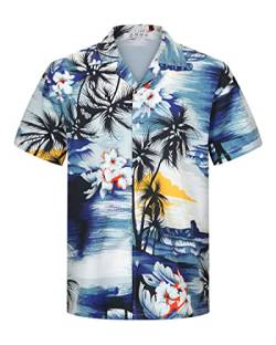 APTRO Herren Hemd Hawaiihemd Freizeit Hemd Kurzarm Urlaub Hemd Reise Shirt Palmen M066 4XL von APTRO