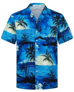 APTRO Herren Hemd Hawaiihemd Freizeit Hemd Kurzarm Urlaub Hemd Reise Shirt Sonne Blau M174 3XL von APTRO
