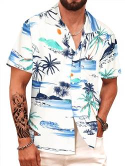 APTRO Herren Kurzarm Hemd Hawaiihemd Sommer Freizeit Hemd Party Blumen Urlaub Hemd Reise Shirt Weiß F256 5XL von APTRO
