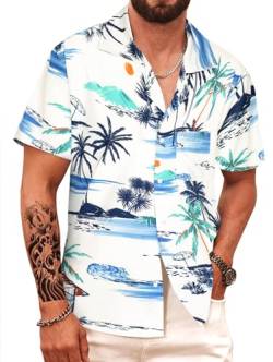 APTRO Herren Kurzarm Hemd Hawaiihemd Sommer Freizeit Hemd Party Blumen Urlaub Hemd Reise Shirt Weiß F256 M von APTRO