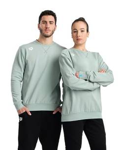 Arena Unisex Erwachsene Solid Cotton Sweatshirt Active Herren und Damen Langarm Rundhals Regular Fit Pullover Top, Jade, Medium von ARENA