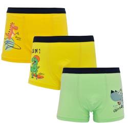 ARERWA Jungen Boxershorts Dinosaurier Cartoon Muster Kinder Unterwäsche Baumwolle Boxershorts Coole Jungen Unterhosen, 3er Pack, 2-4 Jahre alt gelb grün von ARERWA