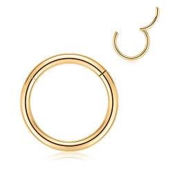 AROWRO Knorpel Ohrring Hoop 20g Nasenring Gold Nasenringe 20 Gauge Helix Hoop Ohrring Vorwärts Helix Ohrring Hoop Daith Ohrringe Tragus Ohrringe Chirurgischer Stahl Kleine Hoop Ohrringe 6mm Nose Hoop von AROWRO