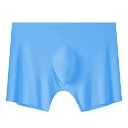 ARtray Beste Unterwäsche Herren Style Silver Lon Unterwäsche atmungsaktive Ice Silk Unterwäsche für Herren Personalshop (Blue, XL) von ARtray