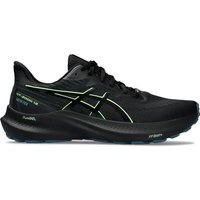 ASICS Herren Laufschuhe GT-2000 12 GTX von ASICS