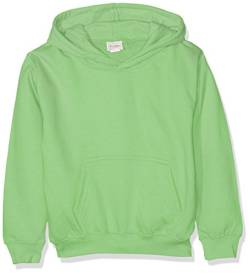 AWDis Jungen Kids Hoodie Kapuzenpullover, Grün (Limettengrün), 74-86 von AWDis