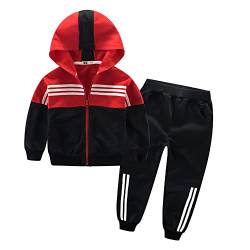 Jungen 2tlg Jogginganzug Dinosaurier Kleidung Kapuzen Sweatshirt Baumwoll Sportanzüge Kinder Jungen Langarm Hoodies Shirt Lange Hosen Trainingsanzug Kinder Kapuzenpullover Anzug von AXZDTH