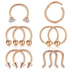 AceFun 10 Stück Segmentring Septum Tragus Helix Ohr Nase Lippe Piercing Hufeisen Circular Barbell Lippenpiercing Chirurgenstahl Körperschmuck Roségold von AceFun