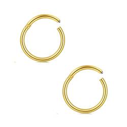 AceFun 16G Helix Piercings Chirurgenstahl Segmentring Clicker Septum Tragus Helix Ohr Piercing Nasenpiercing Lippenpiercing Ring 2 Stück Gold 16G-12mm von AceFun