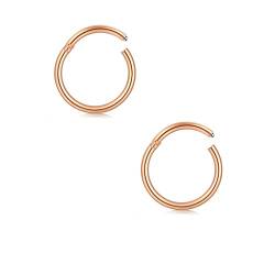 AceFun Helix Piercing 316L Edelstahl Damen Herren Septum Clicker Segmentring Nasenpiercing Nasenring Lippenring Tragus Knorpel Nippelring Brustwarzenpiercing 2 Stück 14G/1.6mm Roségold 14G-10mm von AceFun