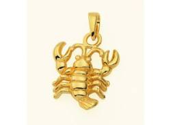 Kette mit Anhänger ADELIA´S "585 Gold Sternzeichen Krebs" Halsketten Gr. Gelbgold 585, goldfarben (gold) Damen Ketten mit Anhänger von Adelia´s