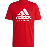 ADIDAS Herren Fanshirt FC Bayern München DNA Graphic von Adidas