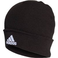 ADIDAS Herren Mütze Logo Woolie von Adidas