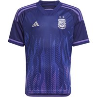 Offizielles Auswärtstrikot Argentinien Copa America 2024 von Adidas