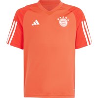 adidas FC Bayern München Funktionsshirt Kinder von Adidas