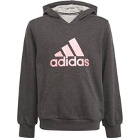 adidas Kinder Future Icons Logo Hoodie von Adidas