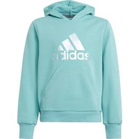 adidas Kinder Future Icons Logo Hoodie von Adidas