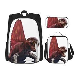 AeRko Dinosaurier bedruckter Jungen-Rucksack leichtes Tagesrucksack-Set 3-teilig mit Lunchtasche Federmäppchen für Mädchen Jungen (Farbe: A) von AeRko