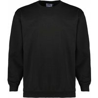 Ahorn Basic Sweatshirt aus weichem Baumwoll-Stretch von Ahorn