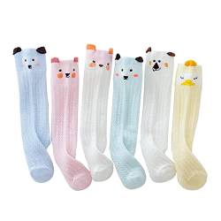 Aliles 6-Pack Baumwolle Kniestrümpfe Socken Baby Mädchen Socken Kinder Sommersocken Overknees Lange Socken 1-3 Jahre von Aliles