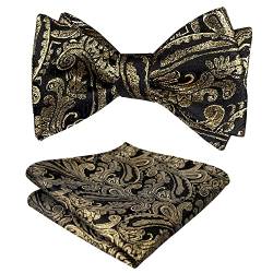 Alizeal Herren Retro Paisley Selbst Fliege und Taschentuch Set, Schwarz+Gold von Alizeal