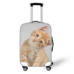 Allinterest Drucken Gepäckabdeckungen Personalisierte Mode Muster Elastische Wasserdichte Reise Koffer Protector Cover, Orange Cat, X-Large von Allinterest