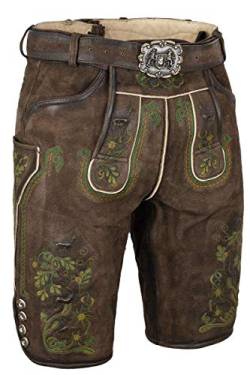 Almsach Herren Herren Lederhose mit Gürtel kurz Braun mit grüner Stickerei, 215GF-MULTIGRÜN (braun), 48 von Almsach