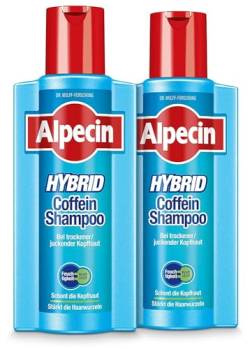 Alpecin Hybrid Coffein-Shampoo XXL - 2 x 375 ml - Haarshampoo für Männer bei trockener, juckender Kopfhaut und Schuppen – gegen erblich bedingten Haarausfall | Haarpflege for Men made in Germany von Alpecin