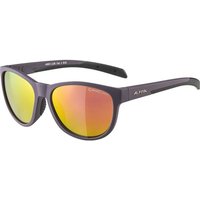 ALPINA Herren Brille NACAN II von Alpina