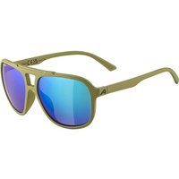 ALPINA Herren Brille SNAZZ von Alpina