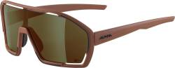 Alpina Bonfire Q-Lite Sportbrille (051 brick matt, Scheibe: Q-Lite bronce mirror (S3)) von Alpina