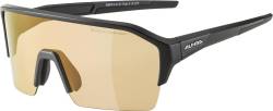 Alpina RAM HR Q-Lite Sportbrille (231 black matt, Scheibe: Q-Lite Varioflex silver mirror (S1-3)) von Alpina