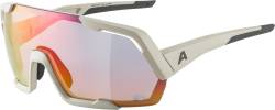 Alpina Rocket QV Sportbrille (521 cool grey matt, Quattroflex/Varioflex, Scheibe: rainbow mirror (S1-3)) von Alpina