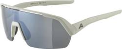 Alpina Turbo HR Sportbrille (321 cool grey matt, Scheibe: black mirror (S3)) von Alpina